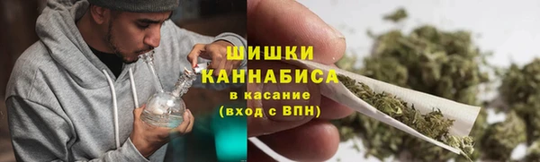 сатива Каменногорск