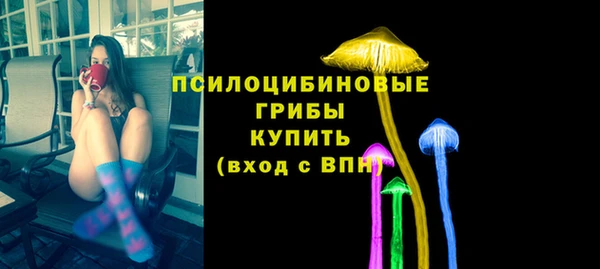 сатива Каменногорск