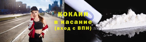 сатива Инта