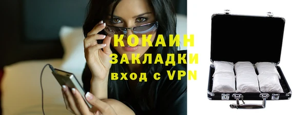 сатива Каменногорск