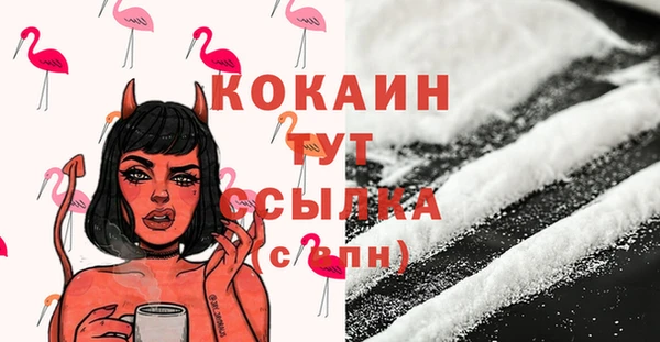 сатива Каменногорск