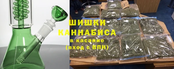сатива Каменногорск