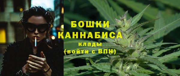 сатива Каменногорск