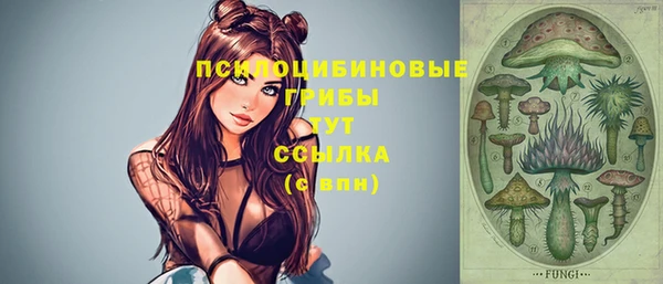 spice Карталы