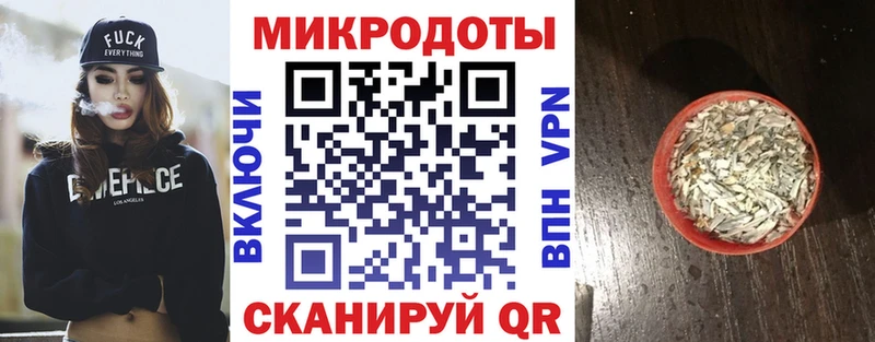 Купить где Вышний Волочёк Псилоцибиновые грибы Cubensis